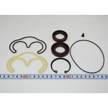 Бирч/Seal Kit D516828 Doosan